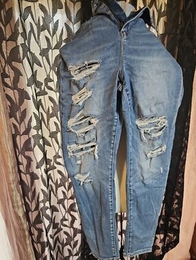 American Eagle Outfitters Distressed Medium Blue Skinny Jeans